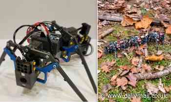 3D-printed robot 'ants' can link up, complete complex tasks and call for help