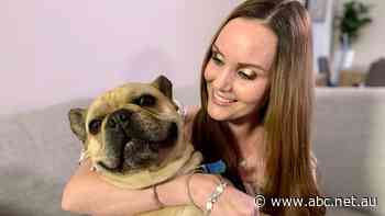 'Your perpetrator can show up at your workplace': How domestic violence became a business problem