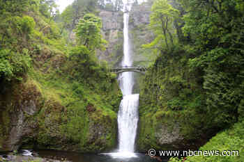 Mother and toddler survive over 100 foot fall while hiking in Oregon