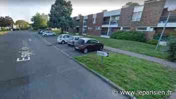 Essonne : un homme tué par arme blanche à Boussy-Saint-Antoine - YOU.leParisien.fr