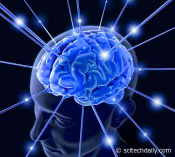 To Understand Human Cognition Scientists Look Beyond the Individual Brain To Study the Collective Mind