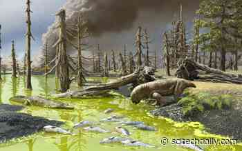 Animals Died in “Toxic Soup” During Earth’s Worst Mass Extinction – A Warning for Today