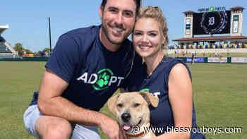 Justin Verlander and Kate Upton host annual dog adoption event - Bless You Boys
