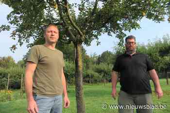 Boomproject van Jeroen (44) en Dieter (39) is eerbetoon aan vader Marnik: “We willen de boomgaarden van weleer doen herleven”