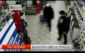 Seriana Blanca. 18 arresti dei carabinieri della Compagnia di Clusone. - L'Eco di Bergamo