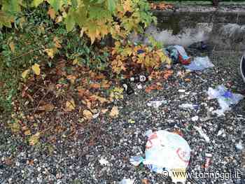 Erba alta, rifiuti e bottiglie abbandonate: l'incuria la fa da padrone lungo via Cardinal Massaia - TorinOggi.it