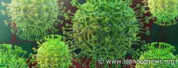 Coronavirus case numbers continue to recede; hospitalizations also decrease - Idaho EdNews