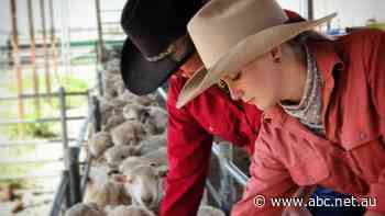 Outback council says no deal on buying Longreach Pastoral College
