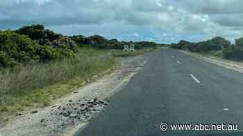 'Fix the damn roads': Local mayor takes aim at SA government over 'dangerous deep craters' in highway