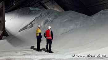 Orica's Newcastle plant to slash emissions with new technology