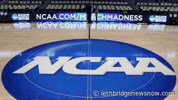 NCAA streamlines constitution, set to give power to schools - Lethbridge News Now