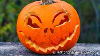 Discarding pumpkins into natural areas a big no-no: NCC - Lethbridge News Now