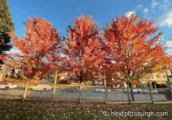 Who's hiring in Pittsburgh? United Way, Lanxess, Sargent Aerospace and more — 11/8/21 - NEXTpittsburgh