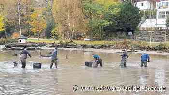 Kurparksee in Bad Liebenzell: Viele Tiere vor dem sicheren Tod bewahrt