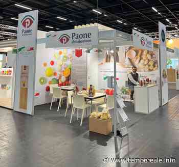 Formia / Tutti pazzi per la pasta formiana: la "Paone distribuzione" in fiera a Colonia (Germania) - Temporeale Quotidiano