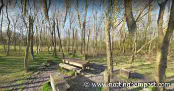 Police concerned for safety of man seen walking into woods in Sutton-in-Ashfield - Nottinghamshire Live