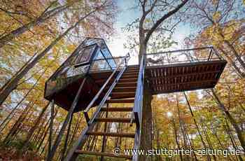 Architektur: Baumhäuser - Die schönsten Wolkenkuckucksheime in den Bäumen - Stuttgarter Zeitung