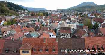 Management-Experiment als Einmannbetrieb gedacht - Annweiler - DIE RHEINPFALZ - Rheinpfalz.de