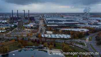 Greenpeace und Fridays for Future: Umweltschützer reichen Klage gegen Volkswagen ein