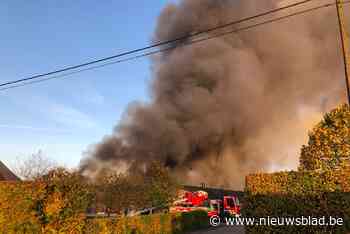 Grote brand in varkensbedrijf in Kasterlee: rookpluim tot ver in de omgeving te zien