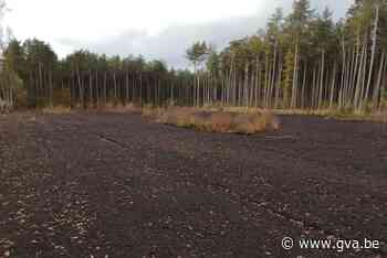 Freeswerken langs Reuselseweg moeten inheemse herbebossing m... (Mol) - Gazet van Antwerpen Mobile - Gazet van Antwerpen