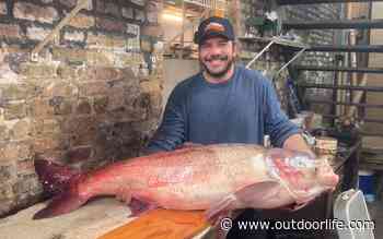 Bass Angler Catches Potential Record Carp in Illinois - Outdoor Life Magazine