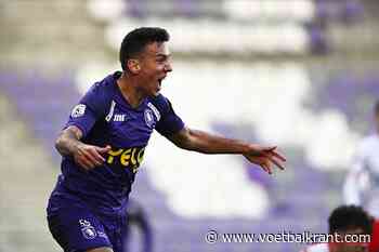 Nieuwe sterkhouder bij Beerschot: &quot;We gaan ons redden, daar ben ik zeker van&quot;