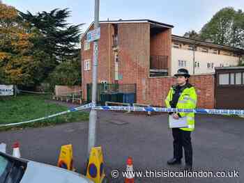 Harlow murder investigation launches after man found dead