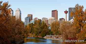 16 things to do in Calgary this week: November 8 to 14 | Listed - Daily Hive