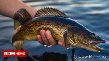 Fishing gear seller caught in hacker's net