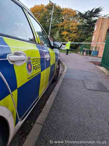 Suspected murderer on the loose after Harlow death