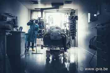 Gezonde gevaccineerden belanden niet op intensieve als ze corona krijgen: “Dat kunnen we van ongevaccineerden niet zeggen” - Gazet van Antwerpen