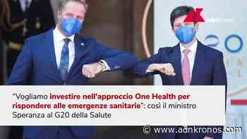 G20 Salute, Speranza: "Investire con approccio One Health" - Adnkronos