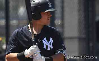 MLB: Yankees mete a róster de 40 a posible reemplazo de Gary Sánchez - Al Bat