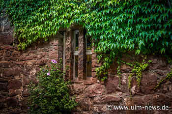 Leben und wohnen in Ettlingen