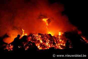 Sint-Maartensvuren afgelast