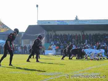 Black Valley WIld mit mächtigem Geweih!: Mission-Bowl Sieger 2021 - meinbezirk.at