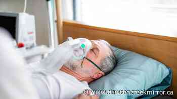 Seventeen dead from COVID-19 in past 72 hours - Dawson Creek Mirror