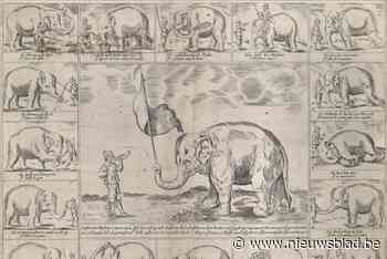 Molse Tijdingen belicht bezoek Indische olifant in 1648 en andere verhalen