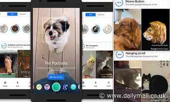 Art: Google launches Pet Portraits feature that shows you which famous painting your pet resembles
