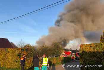1.700 varkens komen om bij grote stalbrand: “Asbestvervuiling blijft beperkt”