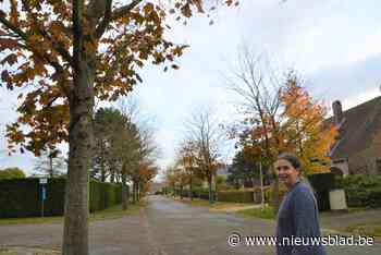 Bewoners straten Slangenbos mogen stemmen over lot bomen