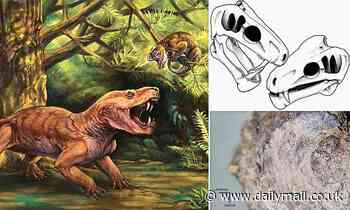 Sabre-toothed gorgons that lived before dinosaurs bit each other in the face to assert dominance