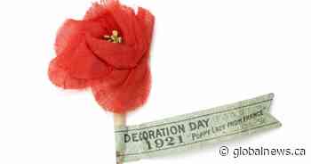 100 Years of Poppies: From Flanders Fields to our lapels