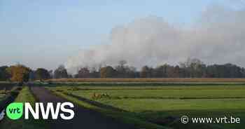 Uitslaande brand in varkensbedrijf in Kasterlee: heel wat varkens omgekomen - VRT NWS