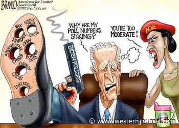 Friendly Fire