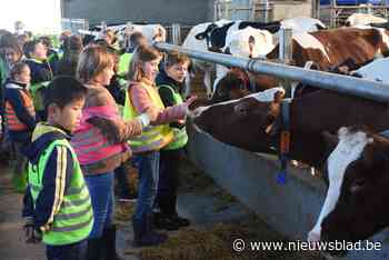 Leerlingen uit vierde leerjaar bezoeken  landbouwbedrijf dankzij project van Molse Landbouwraad
