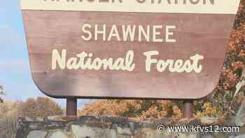 Shawnee National Forest to sell Christmas tree permits - KFVS