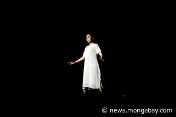 For forest communities in Sumatra, loss of nature means loss of culture - Mongabay.com