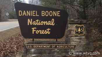 Daniel Boone National Forest waives fees for Veterans Day - ABC 36 News - WTVQ